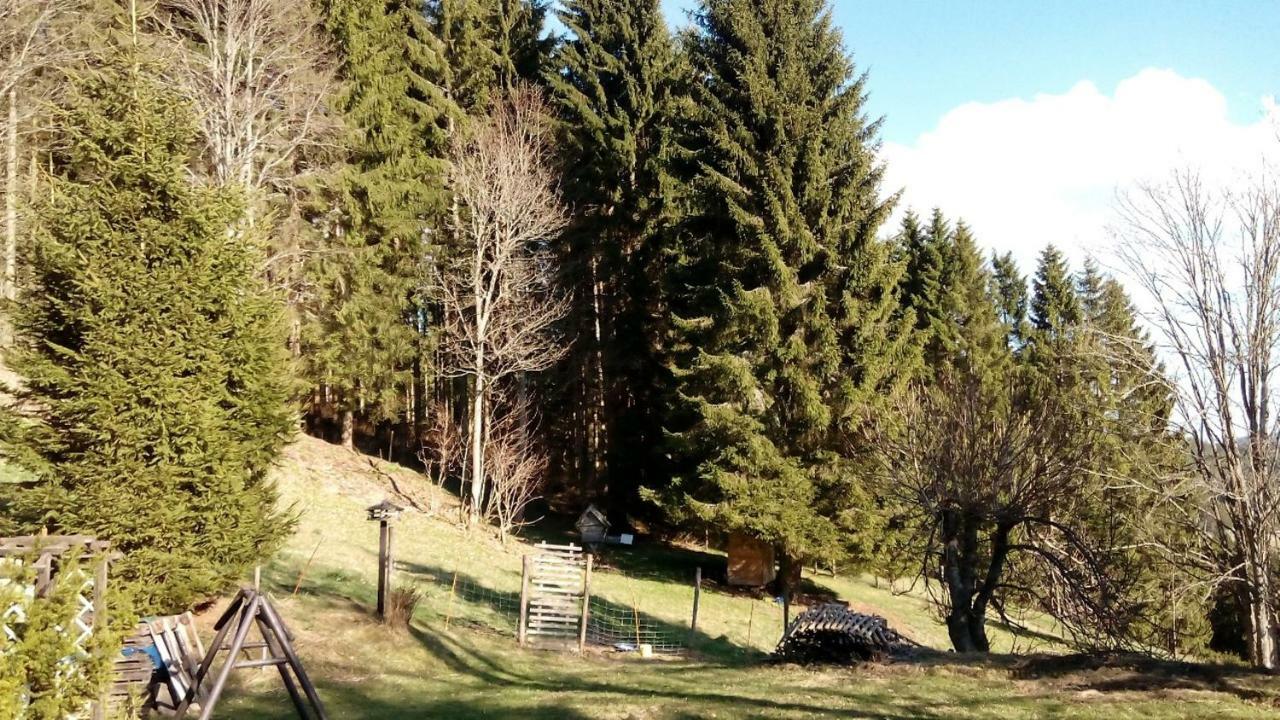 Gaestehaus Fridolin Krieglach Exterior foto